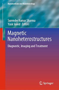 Magnetic Nanoheterostructures -  - E-Book