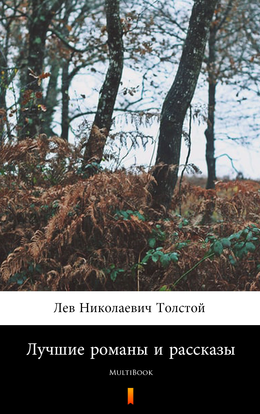 Лучшие романы и рассказы - Лев Николаевич Толстой - E-Book