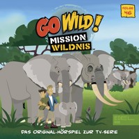Folge 46: Wildponys / Elefantengedächtnis (Das Original-Hörspiel zur TV-Serie) - Angela Strunck - Hörbuch