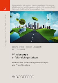 Windenergie erfolgreich gestalten - Michael Frey - E-Book
