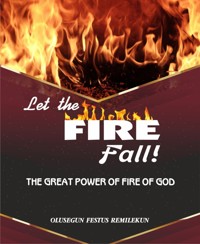 LET THE FIRE FALL - OLUSEGUN FESTUS REMILEKUN - E-Book