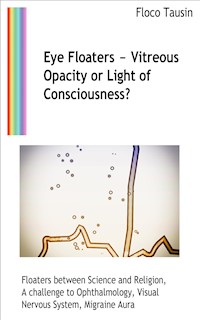 Eye Floaters - Vitreous Opacity or Light of Consciousness? - Floco Tausin - E-Book
