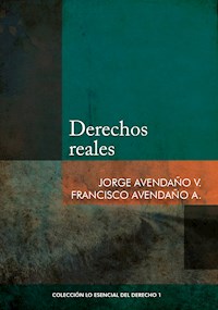 Derechos reales - Jorge Avendaño - E-Book