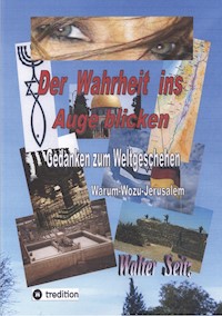 Der Wahrheit ins Auge blicken - Walter Seitz - E-Book