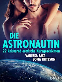 Die Astronautin - 22 knisternd erotische Kurzgeschichten - Sofia Fritzson - E-Book