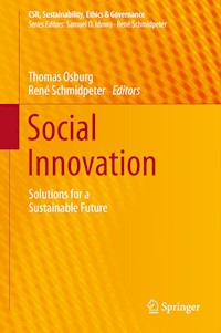 Social Innovation -  - E-Book