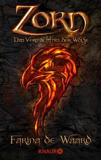 Zorn - Farina de Waard - E-Book