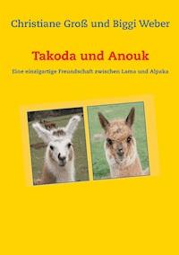 Takoda und Anouk - Christiane Groß - E-Book