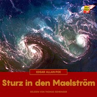 Sturz in den Maelström - Edgar Allan Poe - Hörbuch