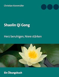 Shaolin Qi Gong - Christian Kronmüller - E-Book