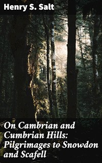 On Cambrian and Cumbrian Hills: Pilgrimages to Snowdon and Scafell - Henry S. Salt - E-Book