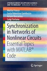 Synchronization in Networks of Nonlinear Circuits - Mattia Frasca - E-Book