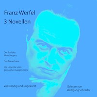 3 Novellen - Franz Werfel - Hörbuch