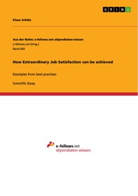 How Extraordinary Job Satisfaction can be achieved - Klaus Schütz - E-Book
