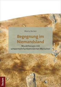 Begegnung im Niemandsland - Maria Becker - E-Book