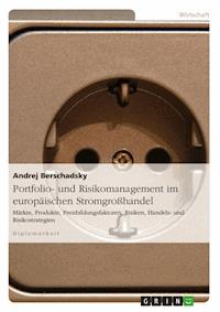Portfolio- und Risikomanagement im europäischen Stromgroßhandel - Andrej Berschadsky - E-Book