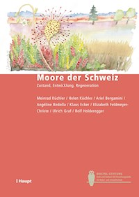 Moore der Schweiz - Meinrad Küchler - E-Book
