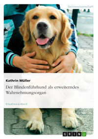 Der Blindenführhund als erweiterndes Wahrnehmungsorgan - Kathrin Müller - E-Book