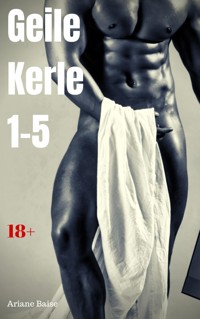 Geile Kerle 1-5 - Ariane Baise - E-Book