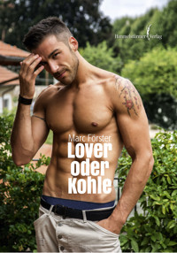 Lover oder Kohle - Marc Förster - E-Book