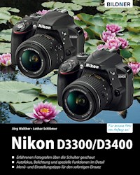 Nikon D3300/D3400 - Lothar Schloemer - E-Book