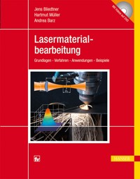 Lasermaterialbearbeitung - Jens Bliedtner - E-Book