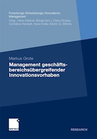 Management geschäftsbereichsübergreifender Innovationsvorhaben - Markus Grote - E-Book
