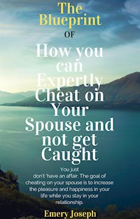 The Blueprint of How you can Expertly Cheat on Your Spouse and not get Caught - Emery Joseph - E-Book