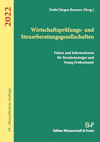 Wirtschaftsprüfungs- und Steuerberatungsgesellschaften 2022 -  - E-Book