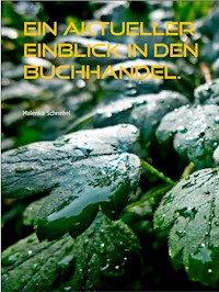 Ein aktueller Einblick in den Buchhandel. - Malenka Schnebel - E-Book