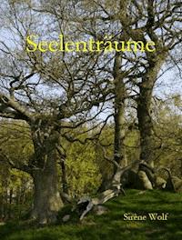 Seelenträume - Sirène Wolf - E-Book