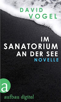 Im Sanatorium / An der See - David Vogel - E-Book