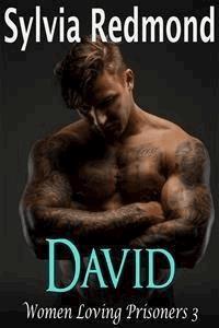 David - Sylvia Redmond - E-Book