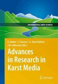 Advances in Research in Karst Media - - E-Book