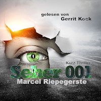 Seher 001 - Marcel Riepegerste - Hörbuch