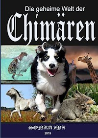 Die geheime Welt der Chimären - Iris Schröter - E-Book