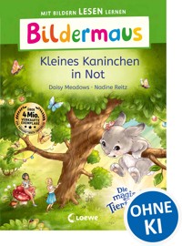 Bildermaus - Kleines Kaninchen in Not - Daisy Meadows - E-Book