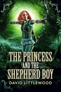 The Princess And The Shepherd Boy - David Littlewood - E-Book