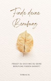 Finde deine Berufung - Tobias Hopfmüller - E-Book