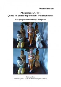 Phénomène JOTT: Quand les choses disparaissent tout simplement - Wilfried Stevens - E-Book