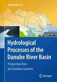 Hydrological Processes of the Danube River Basin -  - E-Book
