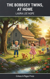 The Bobbsey Twins at Home - Laura Lee Hope - kostenlos E-Book