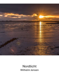 Nordlicht - Claudine Hirschmann - E-Book