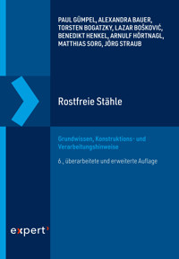 Rostfreie Stähle - Paul Gümpel - E-Book