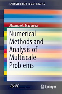 Numerical Methods and Analysis of Multiscale Problems - Alexandre L. Madureira - E-Book