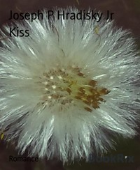 Kiss - Joseph P Hradisky Jr - E-Book