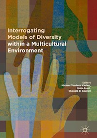 Interrogating Models of Diversity within a Multicultural Environment - - E-Book