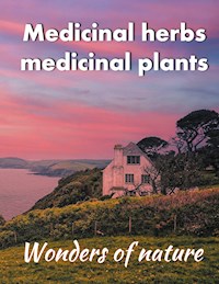 Medicinal herbs / medicinal plants - Helga Schilden - E-Book