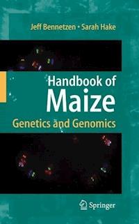 Handbook of Maize -  - E-Book