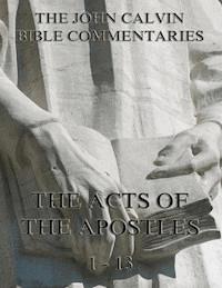 John Calvin's Commentaries On The Acts Vol. 1 - John Calvin - E-Book